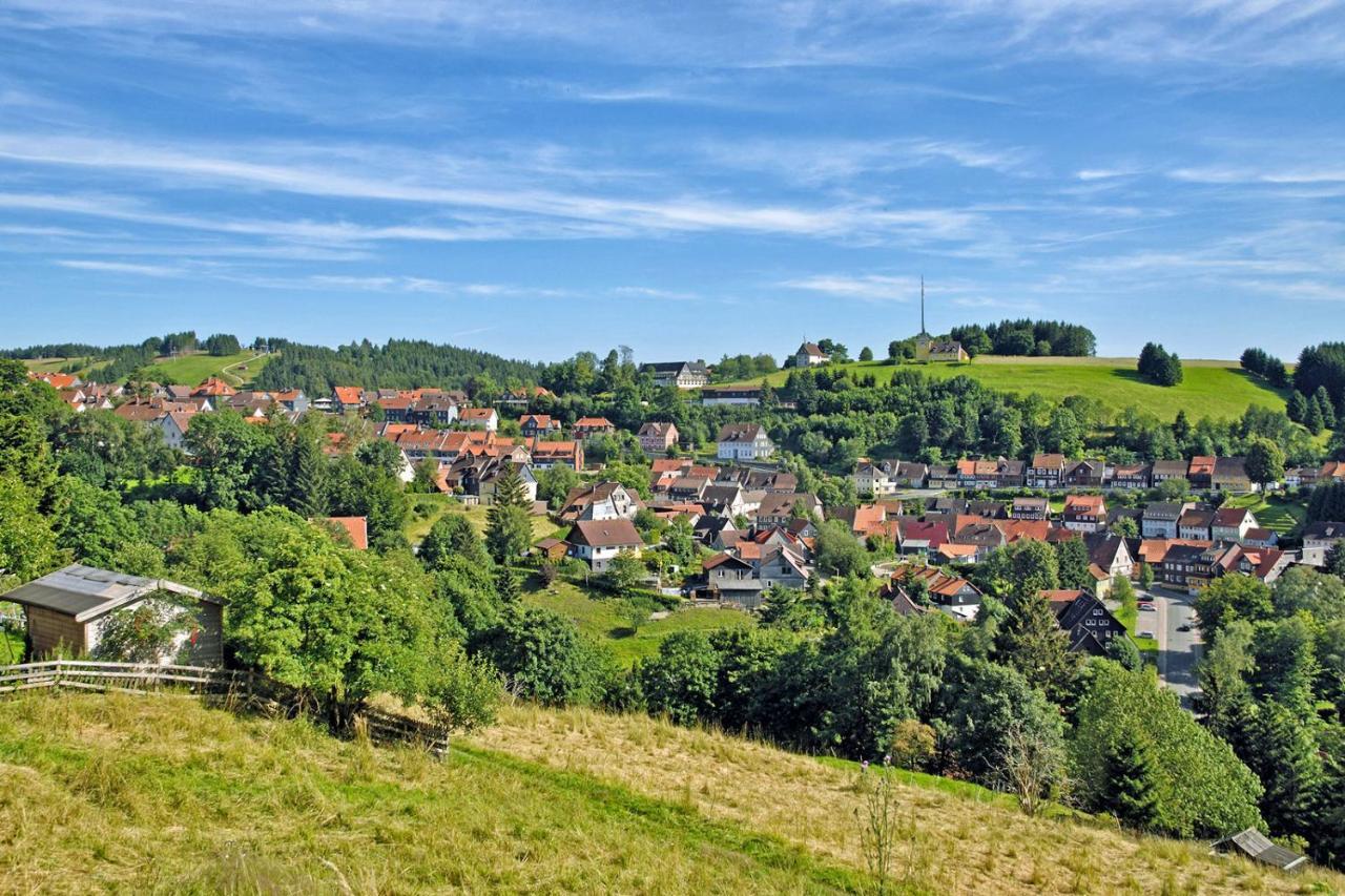 Apartment Am Kurpark Sankt Andreasberg Exteriör bild